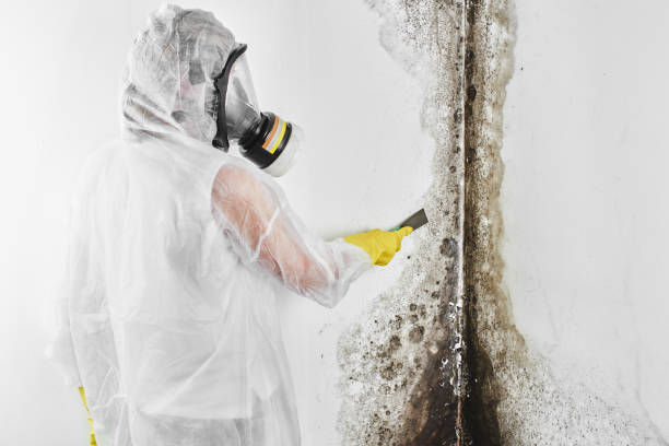 Best Mold Testing  in Sun Prairie, WI